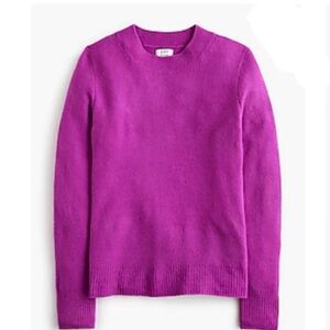 J.Crew Trendy Crewneck Sweater (Size: L) - New with Tags